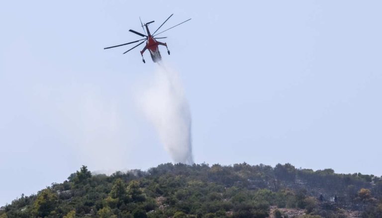 Φωτιά σε δάσος στον Αλμυροπόταμο Ευβοίας: Μήνυμα του 112 για ετοιμότητα, επιχειρούν 9 εναέρια για την κατάσβεση της πυρκαγιάς