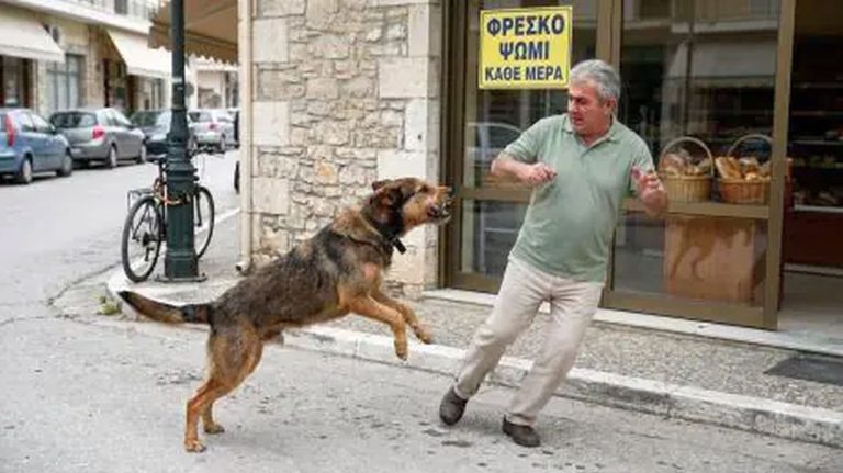 Βριλήσσια: Άγρια επίθεση σκύλου σε άνδρα έξω από φούρνο