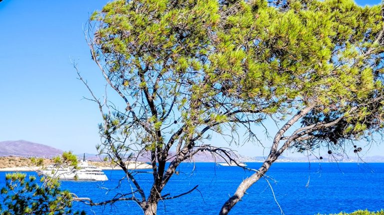 Καιρός: «Γυρίζει» η σελίδα μετά τα μπουρίνια – Βελτίωση και άνοδος της θερμοκρασίας την Παρασκευή