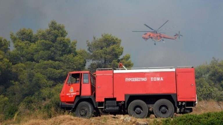 Ρεκόρ συλλήψεων για εμπρησμούς από αμέλεια το τελευταίο διήμερο