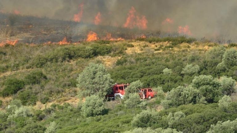 Πυροσβεστική: Τρεις συλλήψεις για εμπρησμούς από πρόθεση σε Αττική και Ηράκλειο Κρήτης