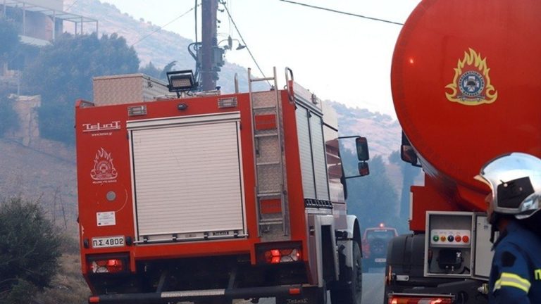 Σήμερα οι κηδείες των δύο πυροσβεστών που έχασαν τη ζωή τους στη φωτιά της Κρύας Βρύσης Ρεθύμνου
