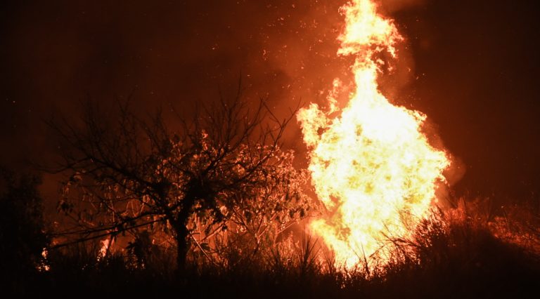 Δραματική διάσωση στη Χαλκιδική: Κατέρρευσε στη θάλασσα πυροσβέστης – Τον έσωσε την τελευταία στιγμή ναυαγοσώστης! (video)