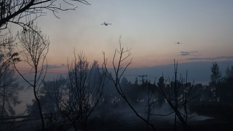 Χαλκιδική: Καταγραφή των ζημιών από την πυρκαγιά στη Σίβηρη